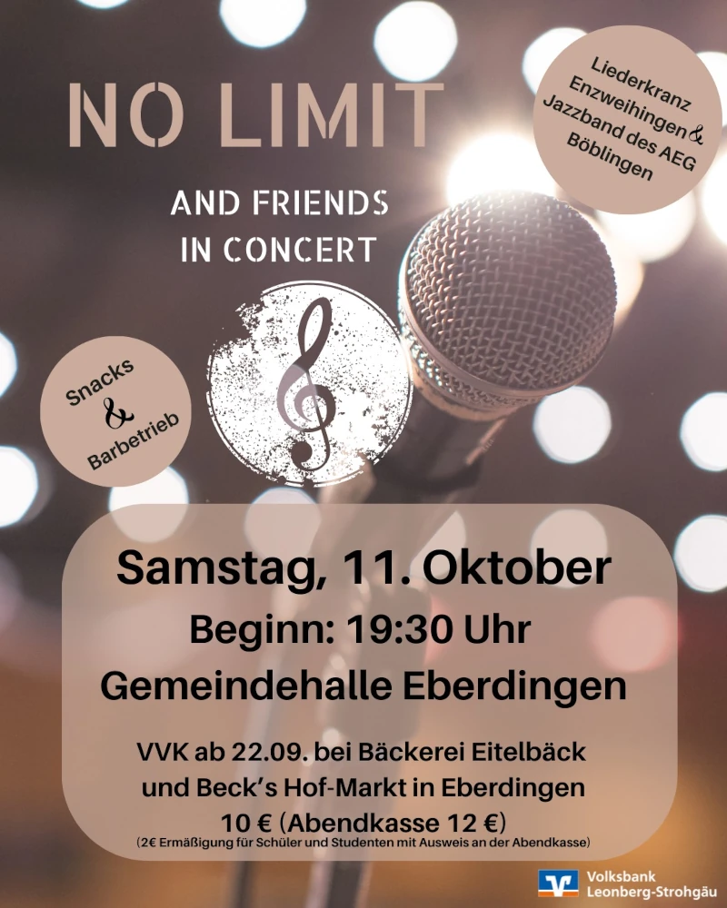 Plakat Konzert No-Limit and Friends